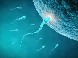 Comment soigner l’oligospermie chez l’homme